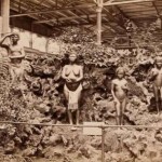 Bushmen’ Display from the Crystal Palace Exhibition (Pitt Rivers photographic collection in Oxford)