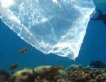 plastic-bag-in-the-sea2